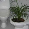 Cool toilets - Pictures nr 51
