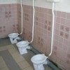 Niezwykłe toalety - Zdjecie nr 61