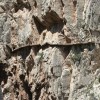 Caminito del Rey - Walk in the mountains — 7