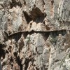 Caminito del Rey - Walk in the mountains - Pictures nr 7