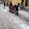 Codzienny Strzał Fotek — 7