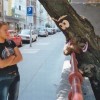 Codzienny Strzał Fotek — 8