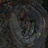 Codzienny Strzał Fotek — 73
