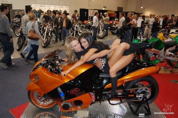 Ducati girls - Pictures nr 9