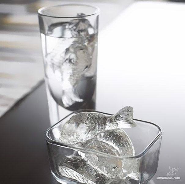 Creative ice cube trays - Pictures nr 16