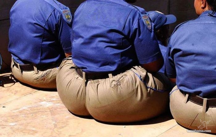 Funny situations involving the cops - Pictures nr 4