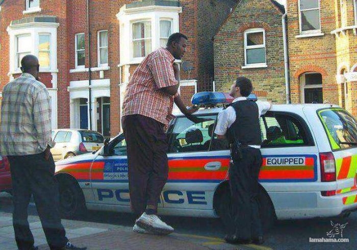 Funny situations involving the cops - Pictures nr 41