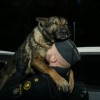 Funny situations involving the cops - Pictures nr 53