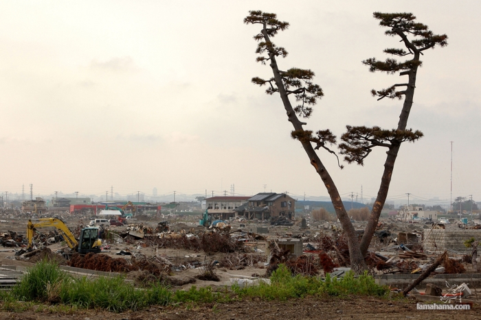 100 days after the earthquake in Japan - Pictures nr 16