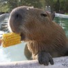 Codzienny Strzał Fotek — 56
