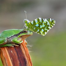 Codzienny Strzał Fotek — 19