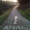Codzienny Strzał Fotek — 36