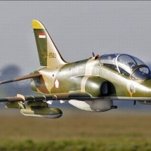 Codzienny Strzał Fotek — 59