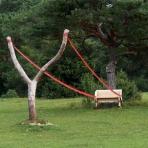 Codzienny Strzał Fotek — 14