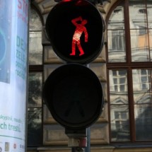 Codzienny Strzał Fotek — 48