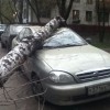 Codzienny Strzał Fotek — 49