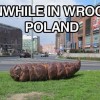 Codzienny Strzał Fotek — 11