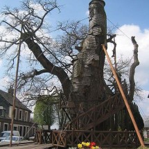 Codzienny Strzał Fotek — 19