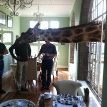 Codzienny Strzał Fotek — 17