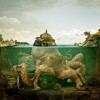 Codzienny Strzał Fotek — 5