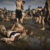Codzienny Strzał Fotek — 2