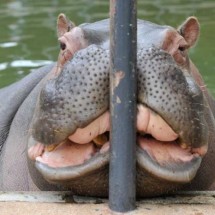 Codzienny Strzał Fotek — 41