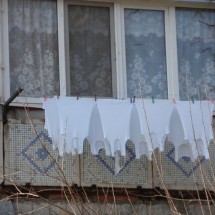 Codzienny Strzał Fotek — 17