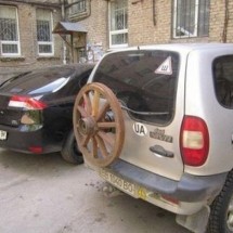 Codzienny Strzał Fotek — 53