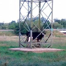 Codzienny Strzał Fotek — 12