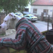 Codzienny Strzał Fotek — 41