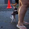 Codzienny Strzał Fotek — 30