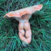 Codzienny Strzał Fotek — 39