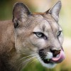 Codzienny Strzał Fotek — 27