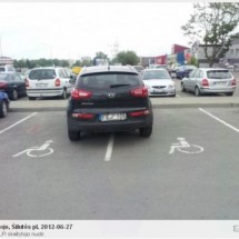 Codzienny Strzał Fotek — 5