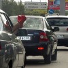 Codzienny Strzał Fotek — 11