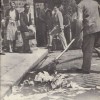 Codzienny Strzał Fotek — 31