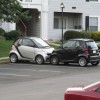 Codzienny Strzał Fotek — 51