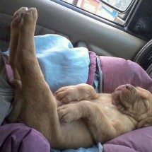 Codzienny Strzał Fotek — 7