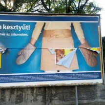 Codzienny Strzał Fotek — 47