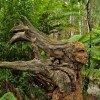 Codzienny Strzał Fotek — 38