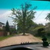 Codzienny Strzał Fotek — 59