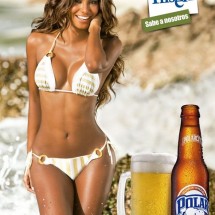 Polar Pilsen 2013 Calendar — 13