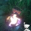 Codzienny Strzał Fotek — 9