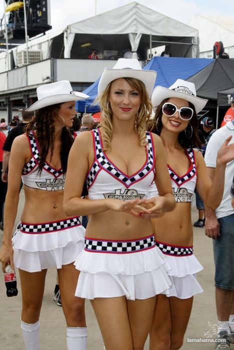 Girls of Formula 1 - Pictures nr 14