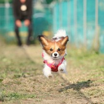 Pictures taken at the right time — 19