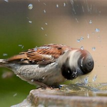 Pictures taken at the right time — 21