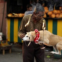 Pictures taken at the right time — 35