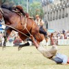 Zdjęcia zrobione w odpowiednim momencie — 37