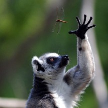 Pictures taken at the right time — 54