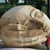 Codzienny Strzał Fotek — 19